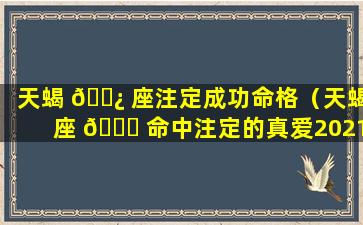 天蝎 🌿 座注定成功命格（天蝎座 🍁 命中注定的真爱2021）